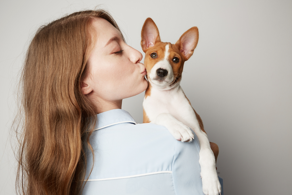 Fizza Basenji Puppies